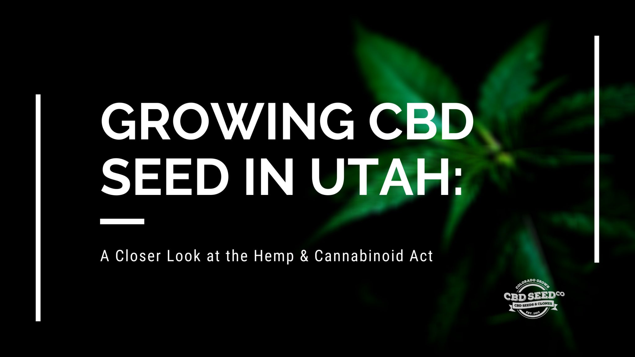 Growing CBD Seed In Utah: A Closer Look At The Hemp & Cannabinoid Act ...